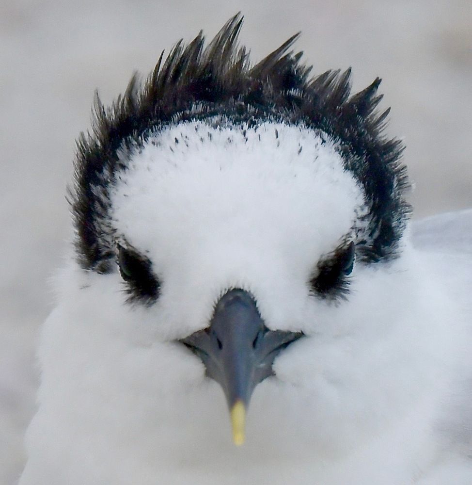 Photograph by Linda Olsen