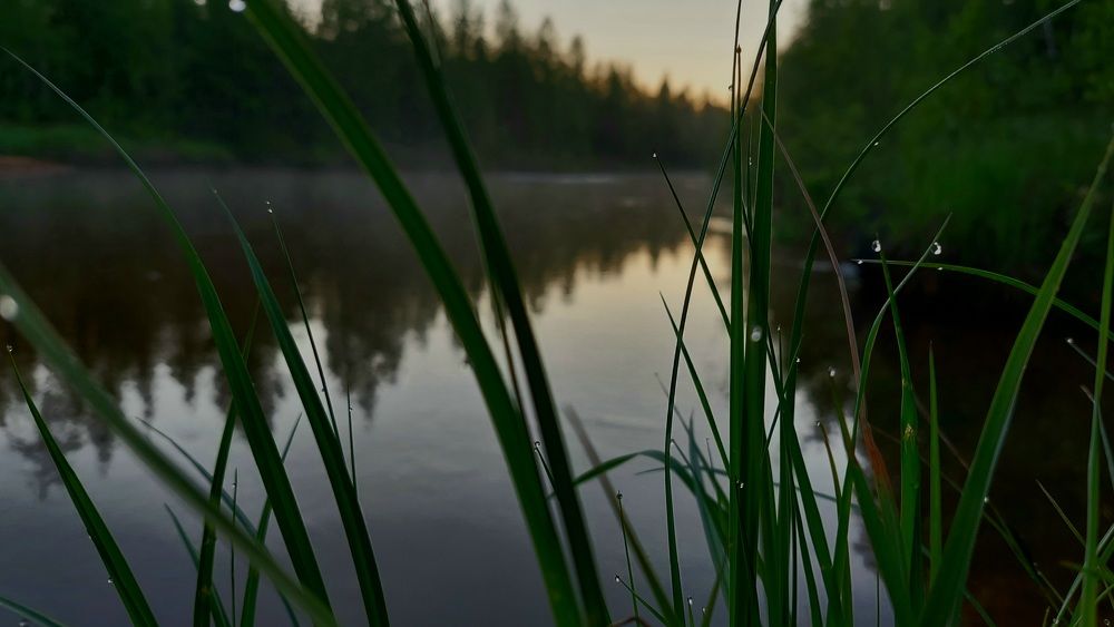 Photograph by Ангелина