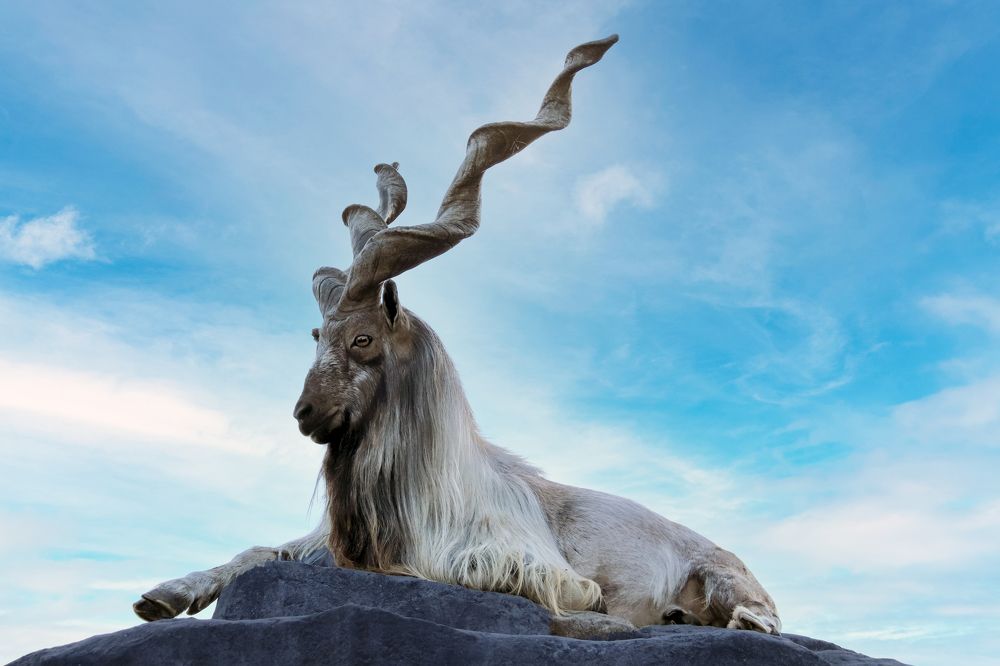 Фотография автора Лариса Рулёва