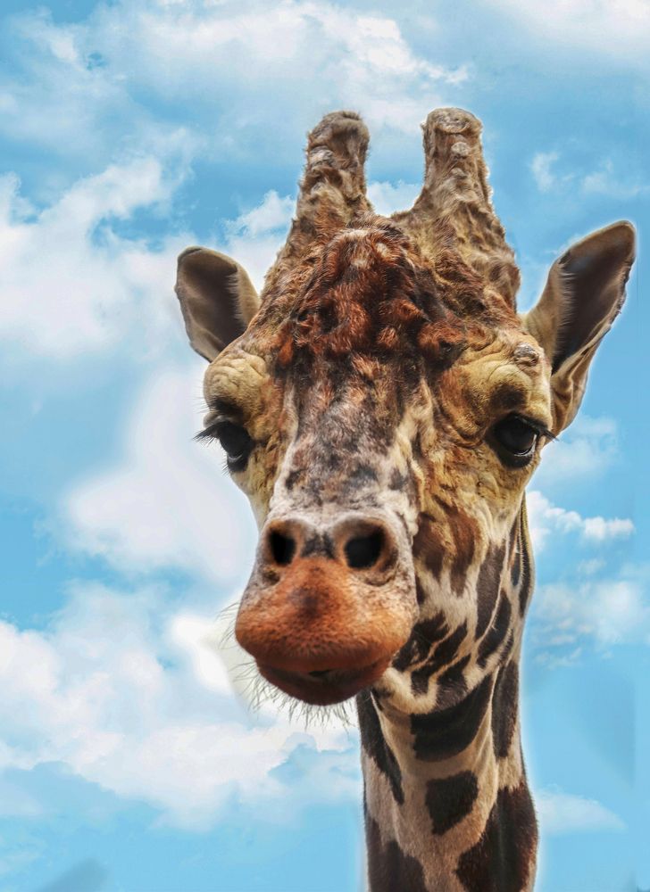 Photograph by Лариса Рулёва