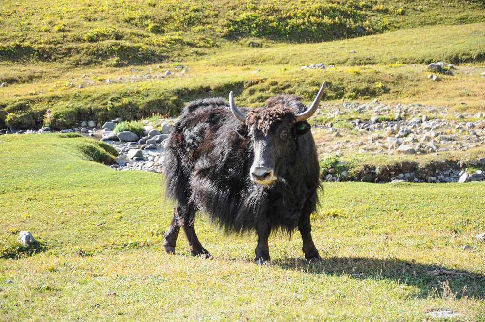 Photograph by Эдуард Шадров