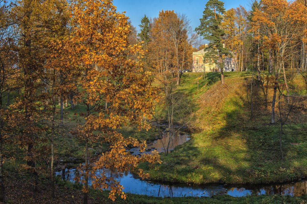 Photograph by Анна Кривицкая