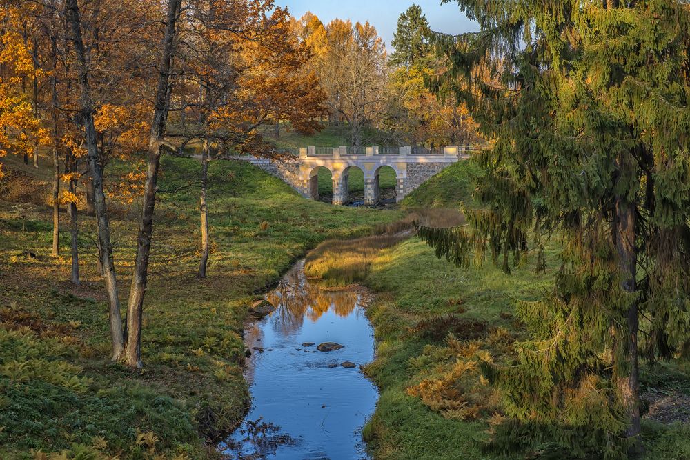 Photograph by Анна Кривицкая