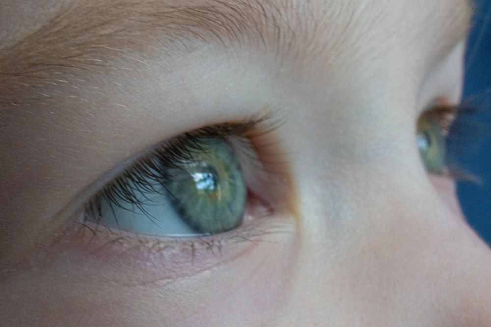 Photograph by Gorodetskiy Konstantin