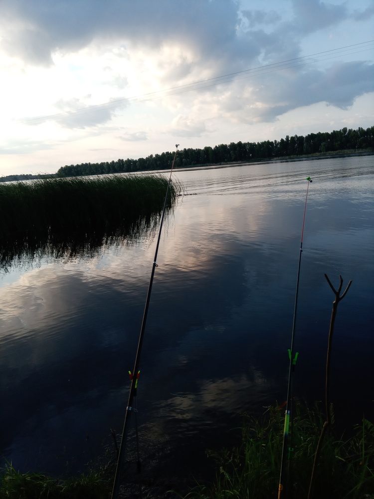 Photo #6244003