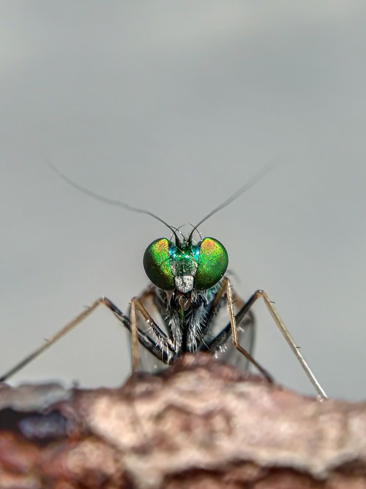 Photograph by Dinesh Paasala