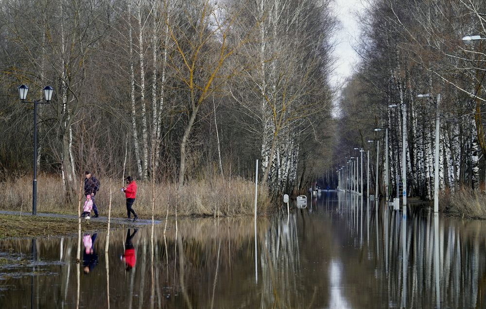 Ефимов И.В. г.Йошкар-Ола, Россия. Весенний разлив в городском парке. 2021я 2021