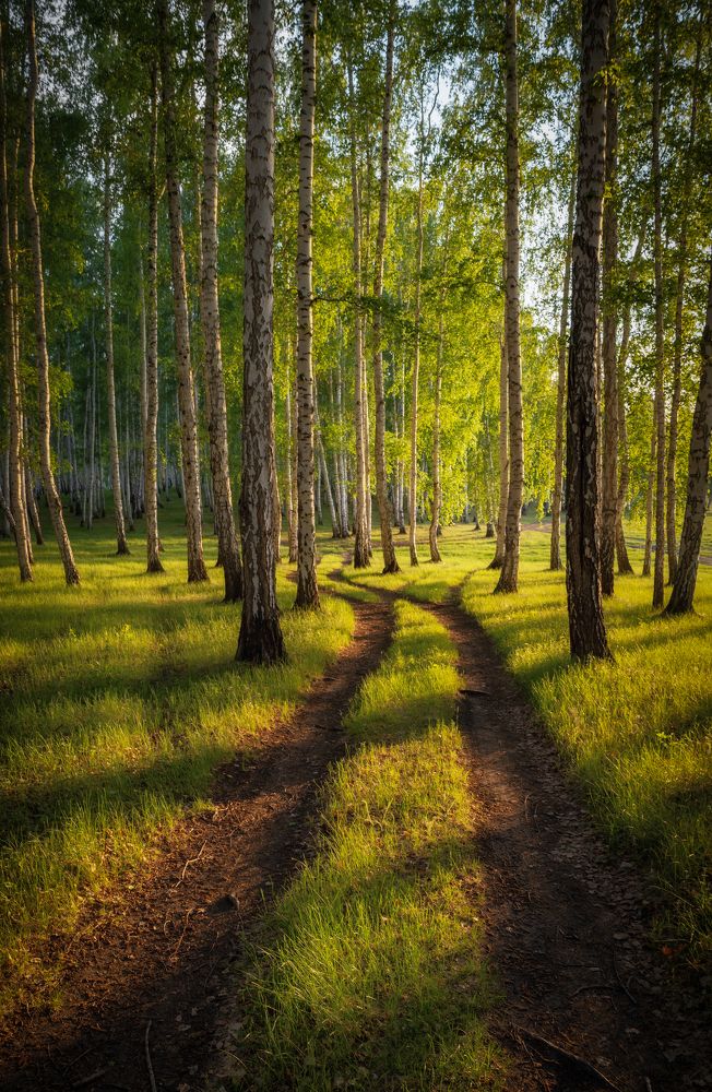 Photograph by Евгений Гецев