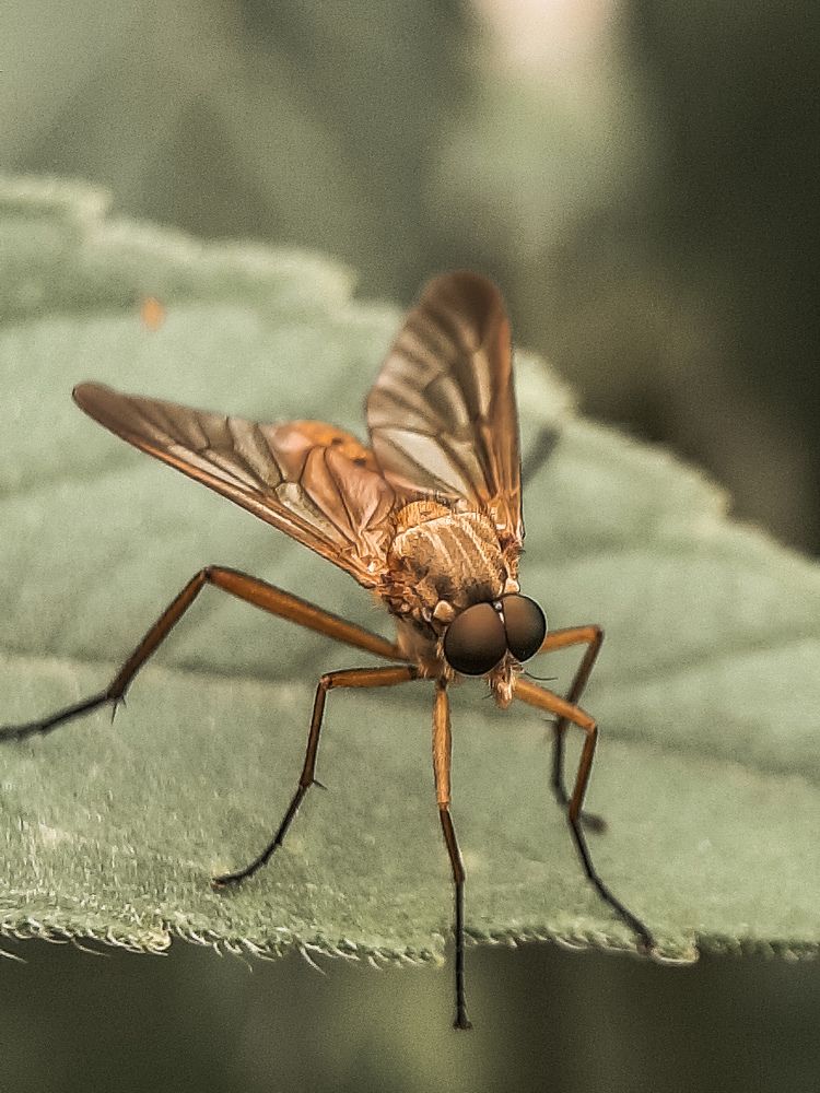 Photograph by Ирина Иванова