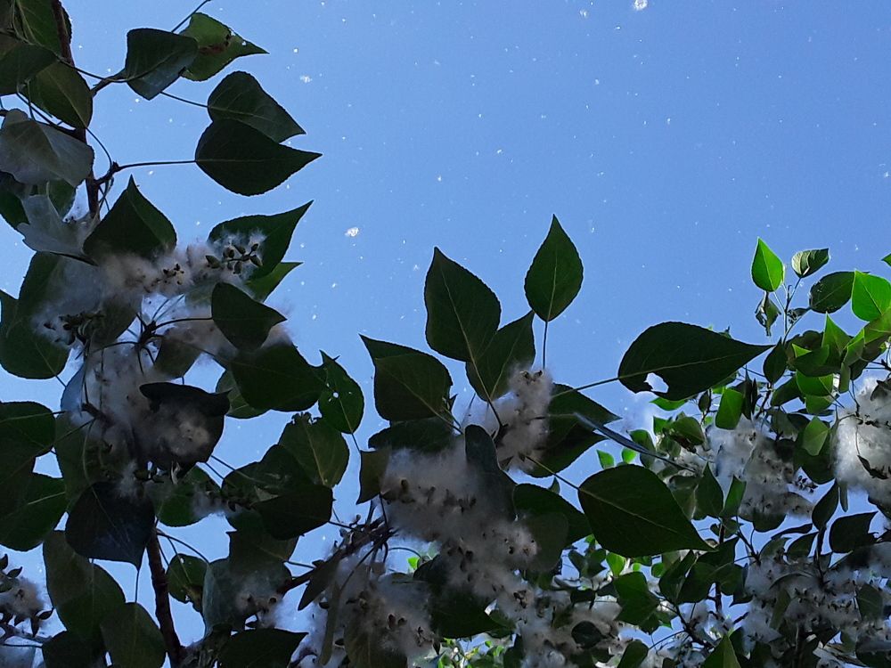 Photograph by Татьяна Собенникова