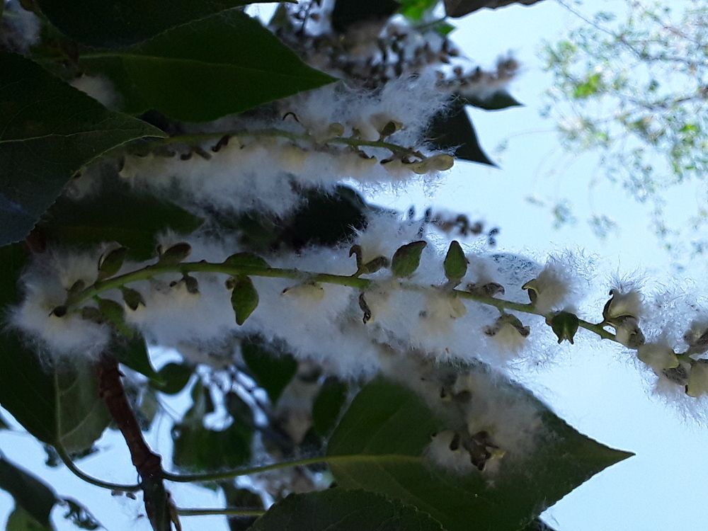 Photograph by Татьяна Собенникова