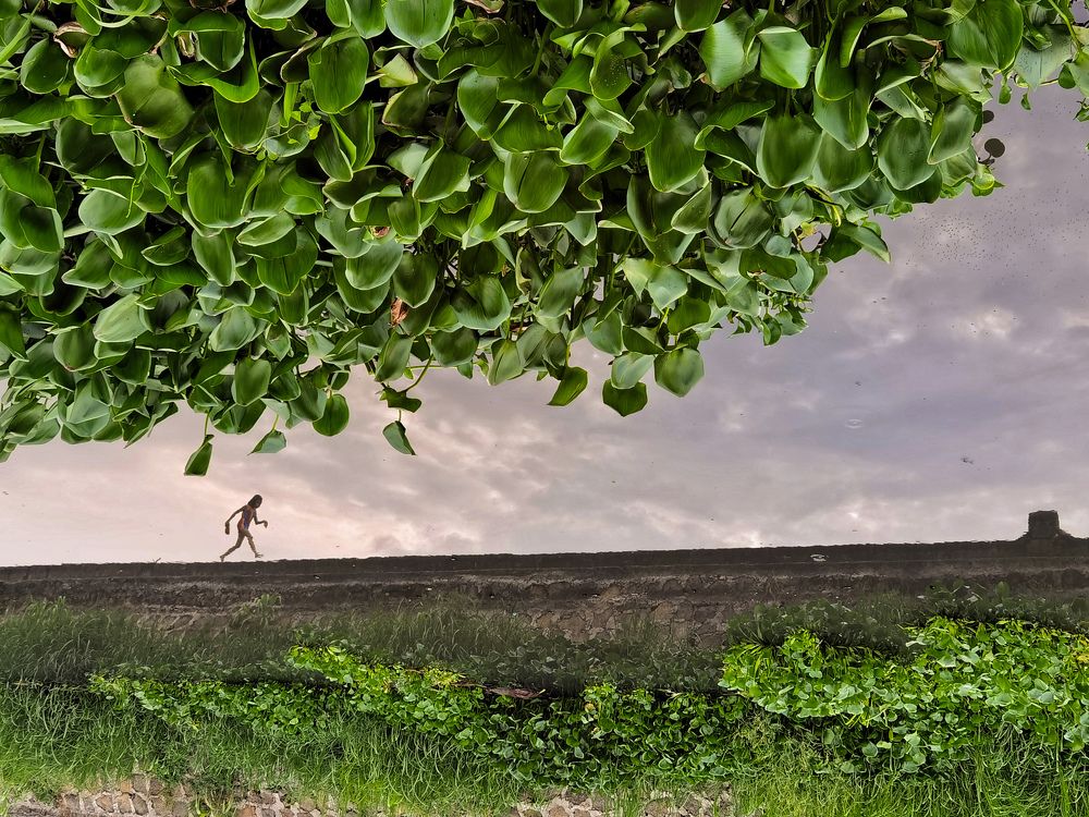 Фотография автора Melvin Anore