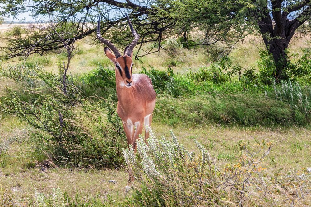 Photograph by Евгений Шварцман