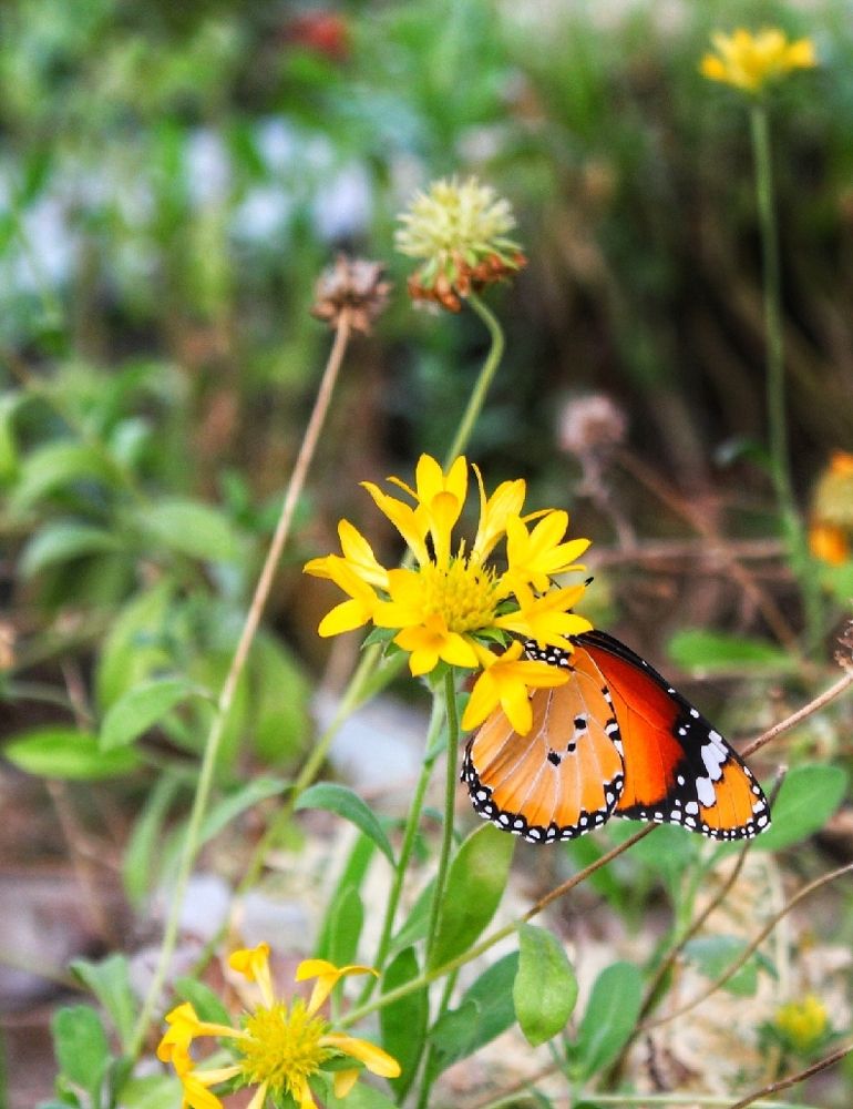 Photograph by KUMAR GAURAV