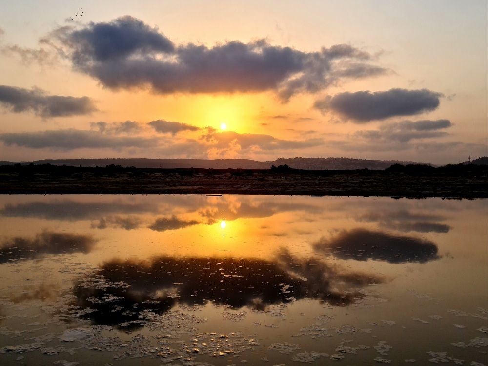 Photograph by יעל מנור