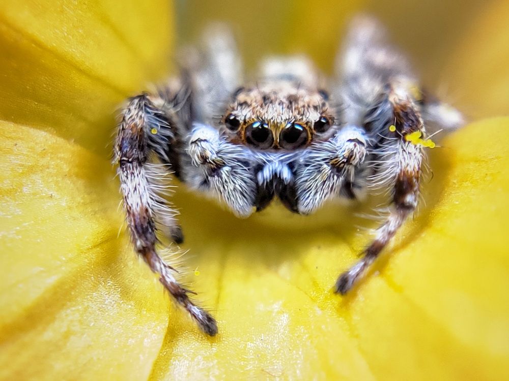 Photograph by Satishkumar Prakash