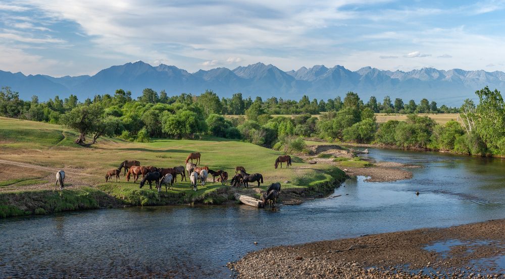 Photograph by Алексей Трофимов