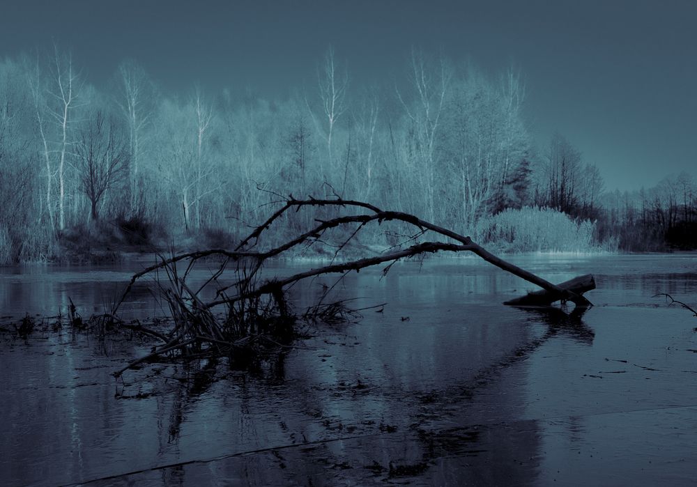 Photograph by Andrew Demianenko