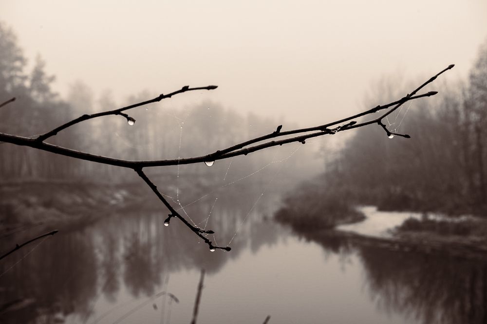 Photograph by Andrew Demianenko