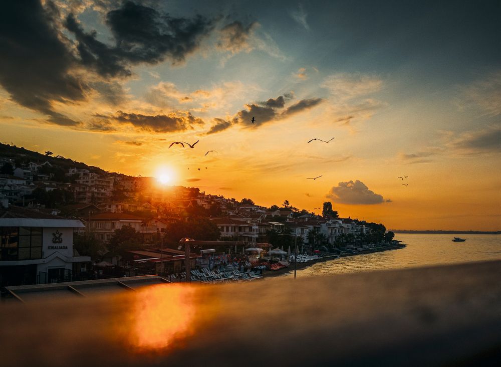 Фотография автора Amir H. Bakhtiari