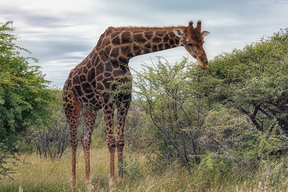 Photograph by Евгений Шварцман