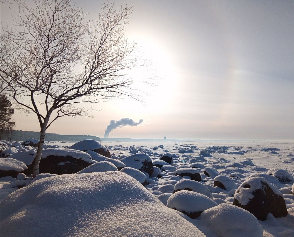 Photograph by Svetlana Gubanova