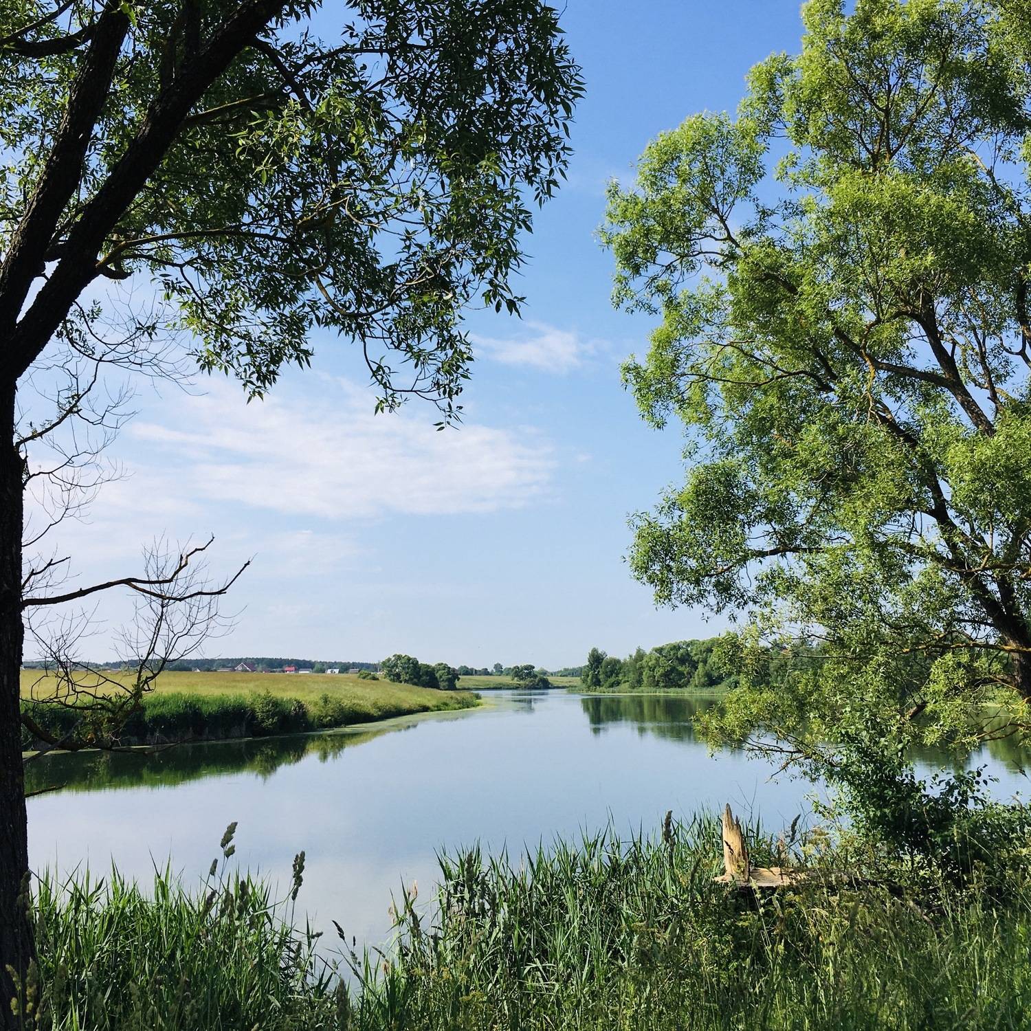 Photo #6244519
