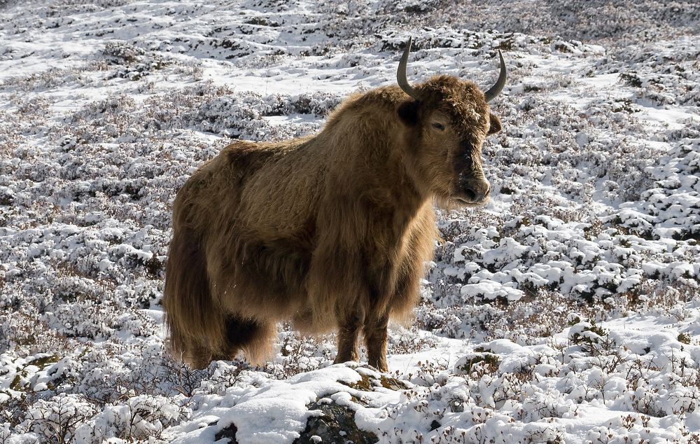 Photograph by Виктор Петров