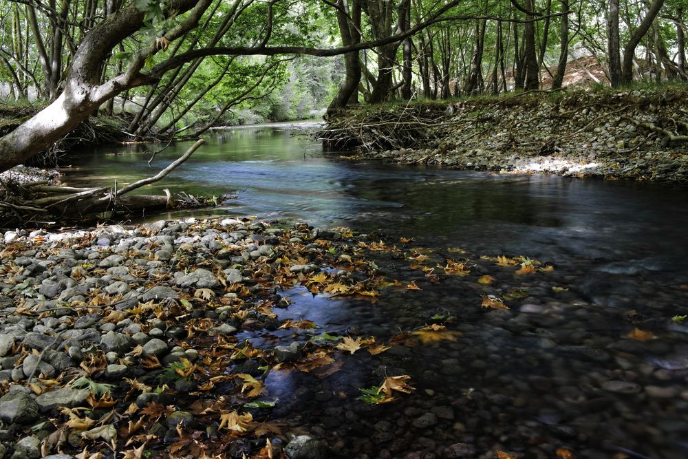 Photograph by Андрей Иванов