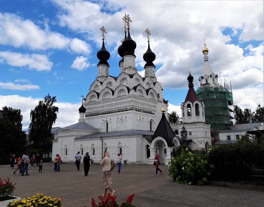 Фотография автора Елена Пикатова
