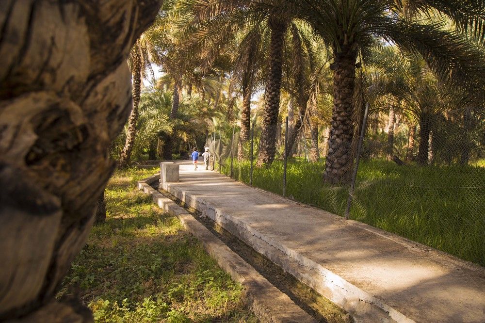 Photograph by Khalsa Said Nasser Al-Naabi