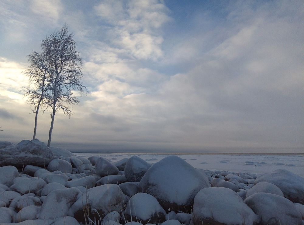 Photograph by Svetlana Gubanova