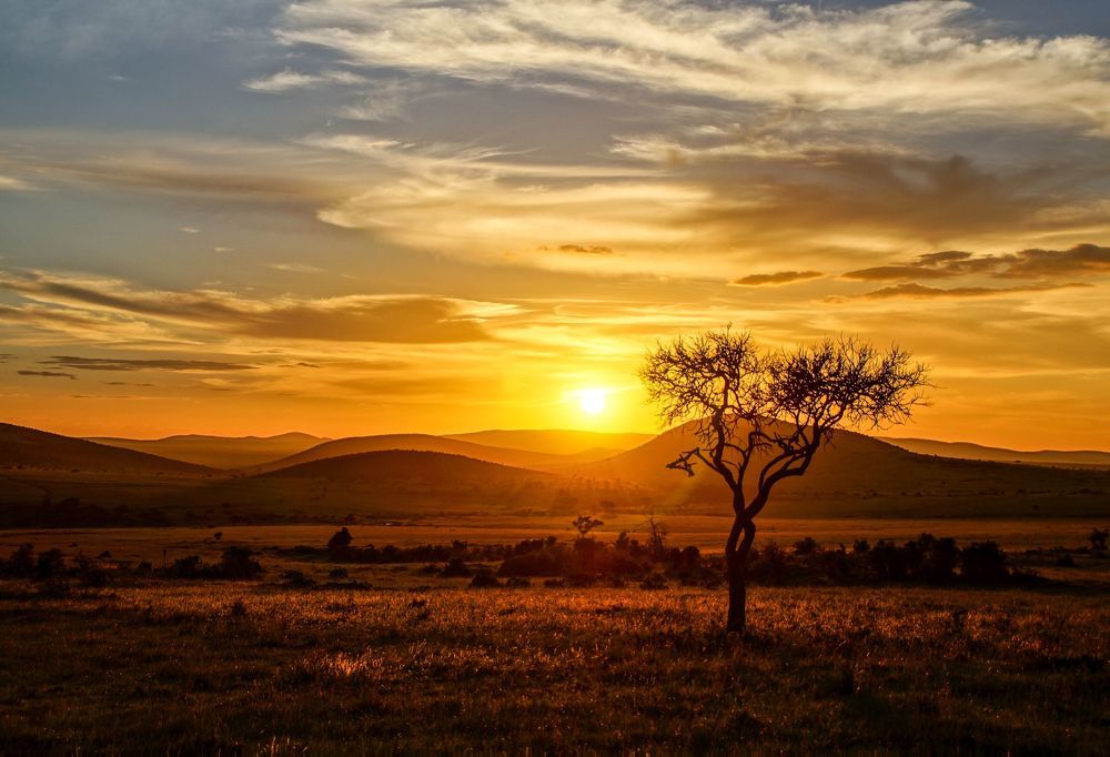 Photograph by Юрий Сычев