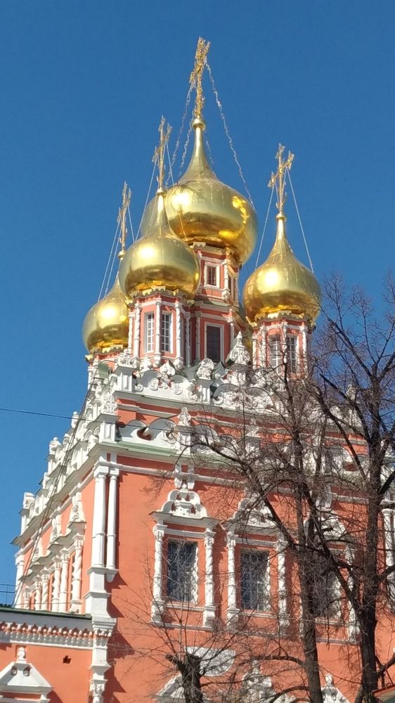 Photo #6244661