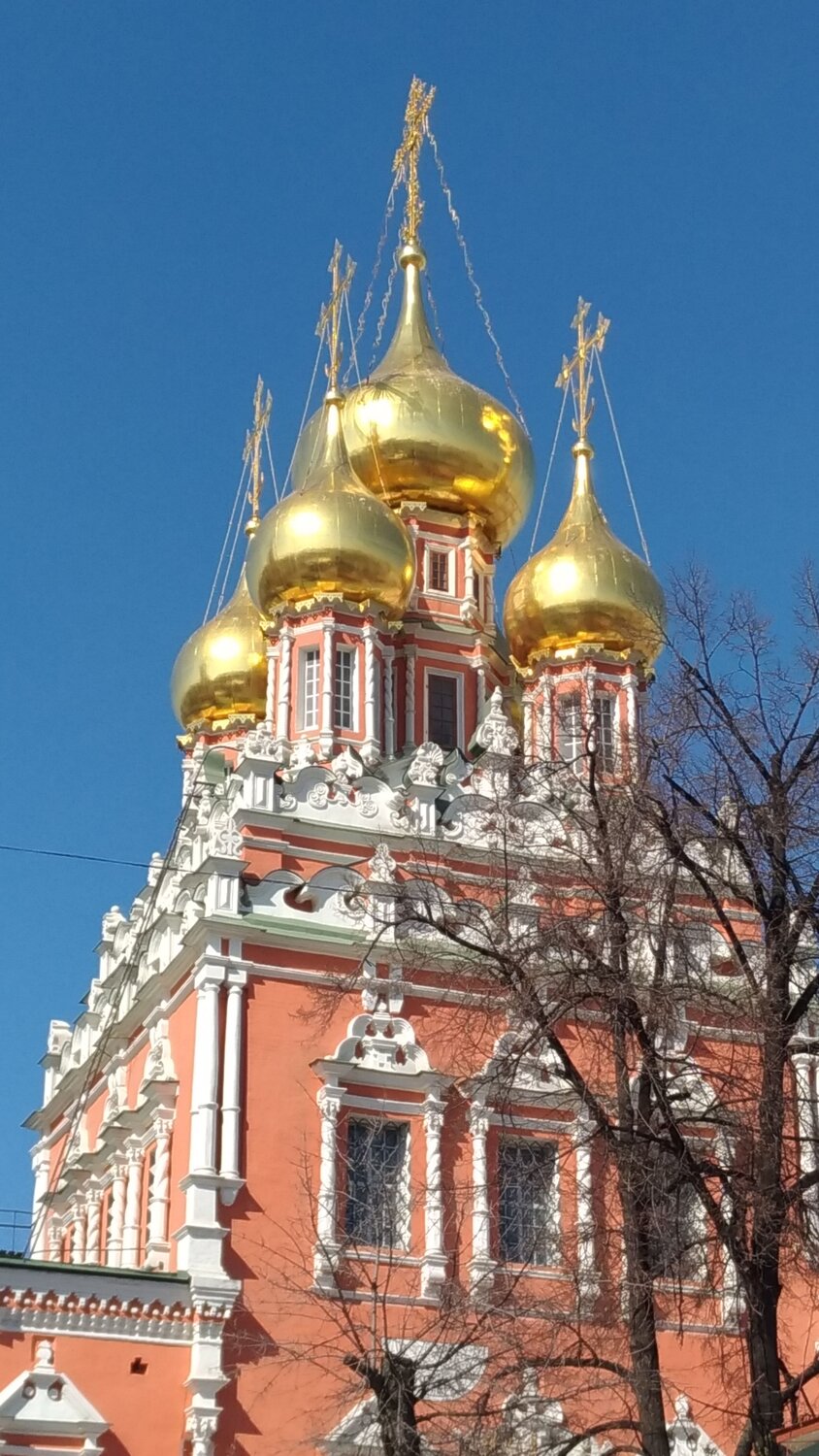 Photo #6244661