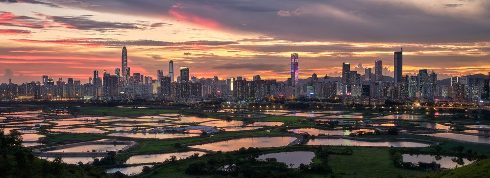 Fish Farms and Mega City