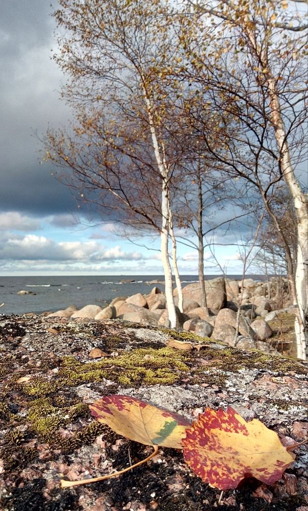 Photograph by Svetlana Gubanova