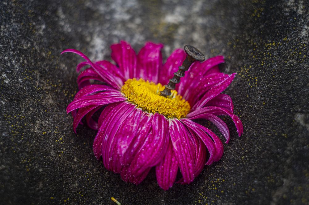 Photograph by Андрей Тарасюк