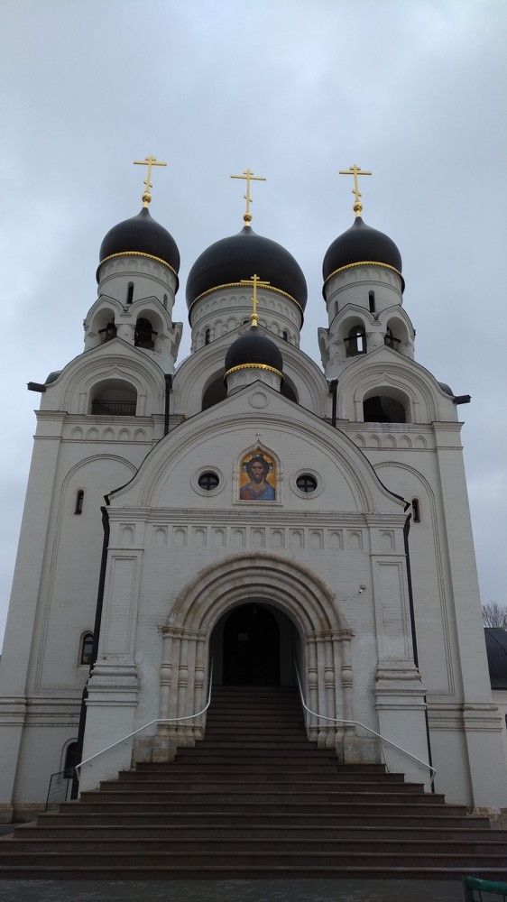 Photo #6244707