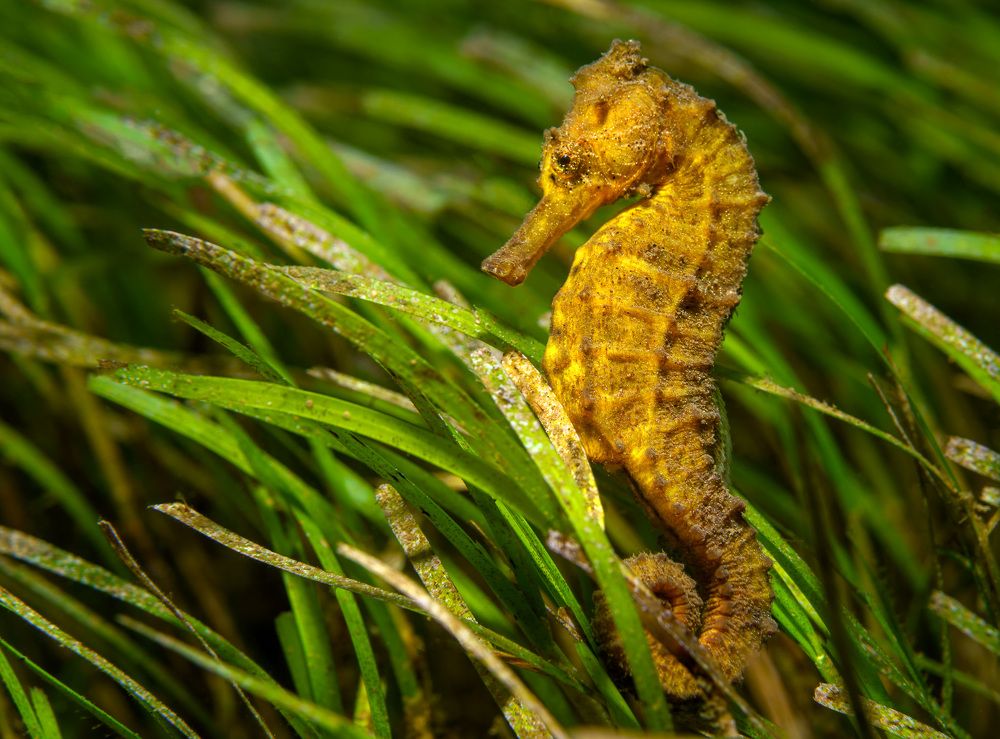 Photograph by Андрей Савин