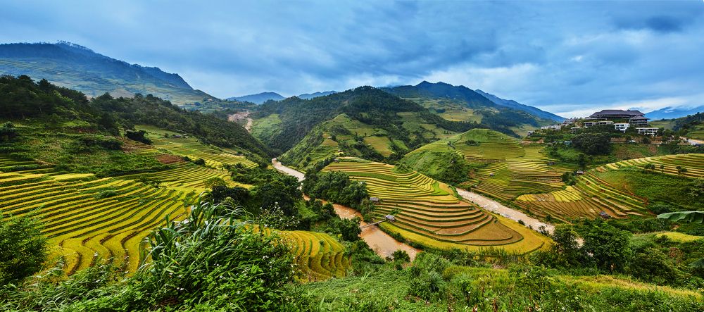 Photograph by Hung Le Thanh