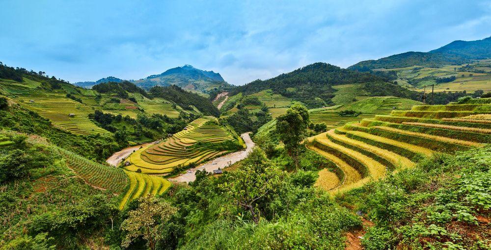 Photograph by Hung Le Thanh