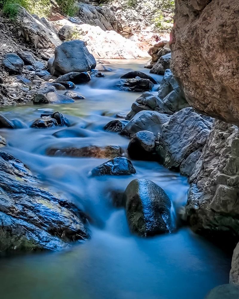 Photograph by Sarah Pouryousef