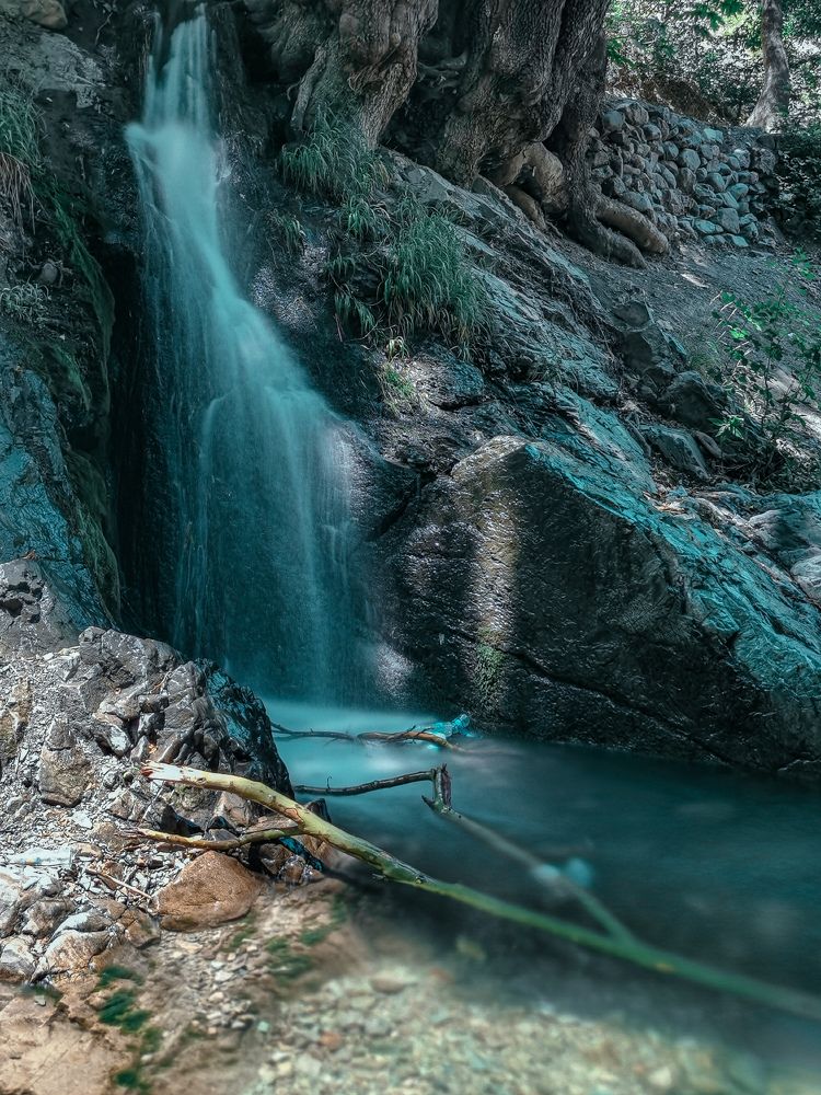 Photograph by Sarah Pouryousef