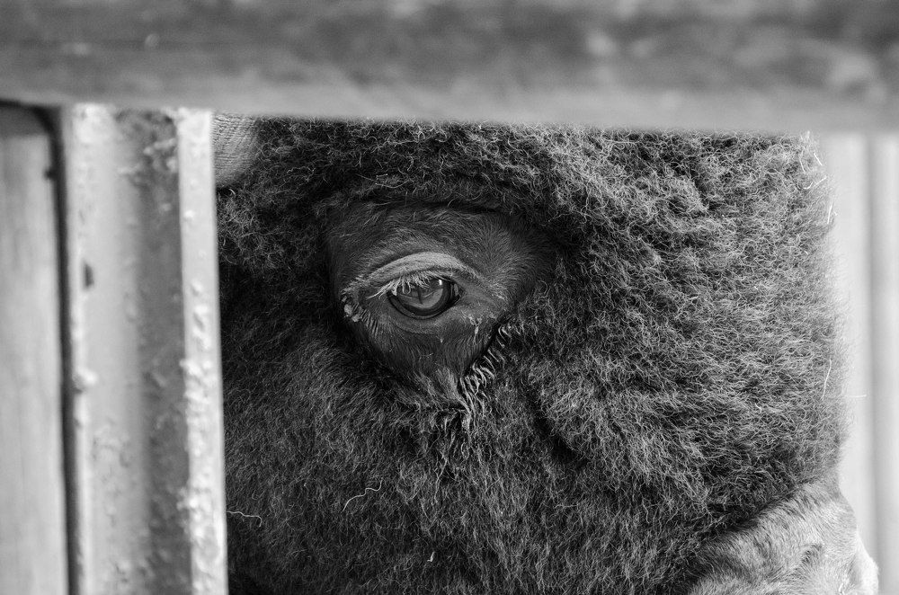 Фотография автора Владимир Брызгунов