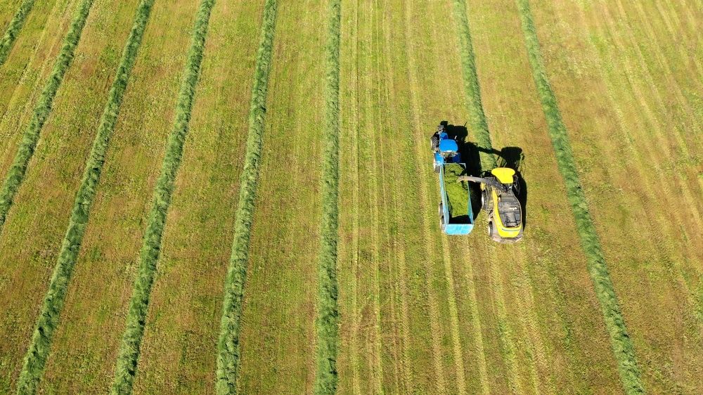 Photograph by Данила Кубачев