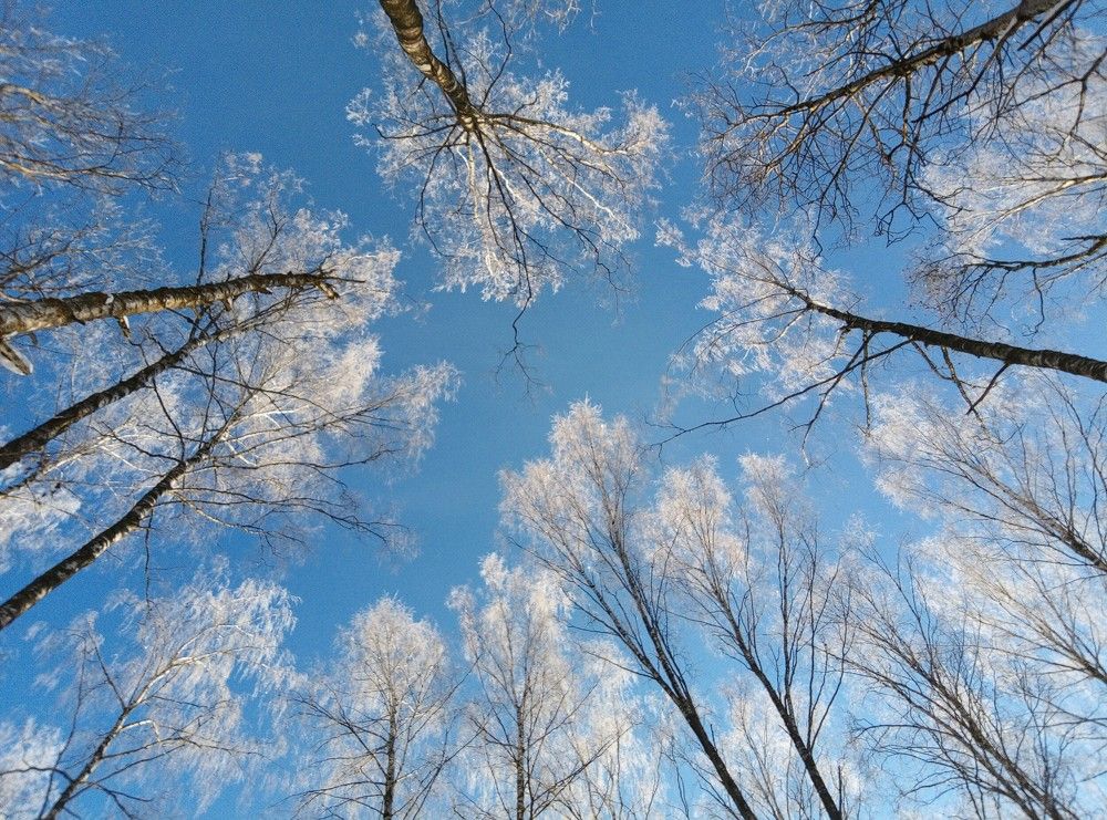 Photograph by Svetlana Gubanova