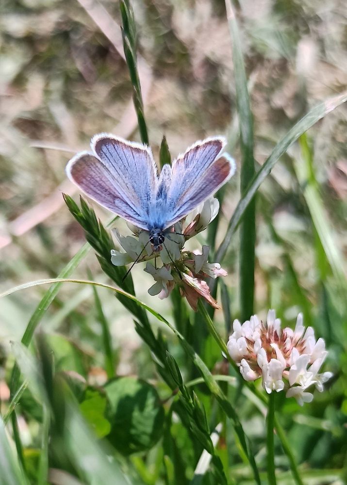 Photograph by Svetlana Gubanova