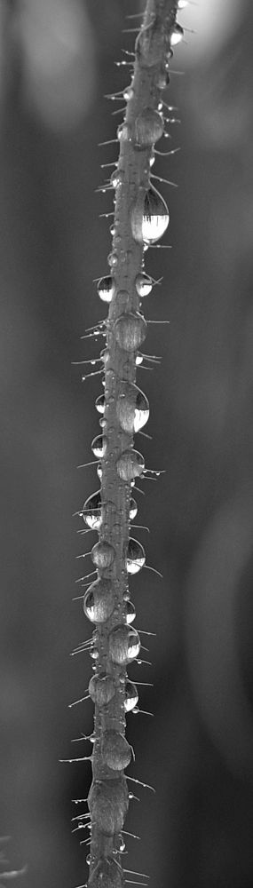 Photograph by Vitalii Kaznin