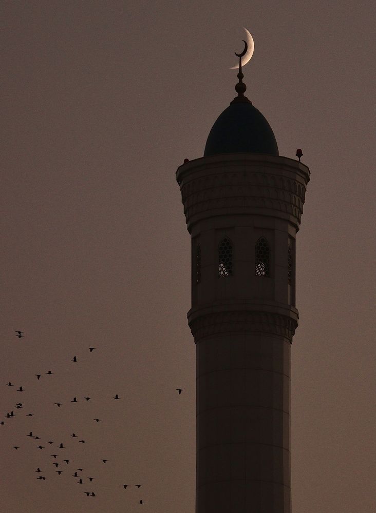 Photograph by Малика Маткарим